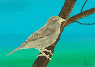 Digitale Kunst getiteld "Sparrow on the tree…" door 3dcursordesigner, Origineel Kunstwerk, Digitaal Schilderwerk