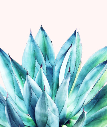 Painting titled "Agave Love" by Uma Gokhale, Original Artwork