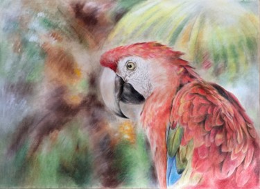 绘画 标题为“鹦鹉（Parrot)” 由Yunfeng Yang, 原创艺术品, 粉笔