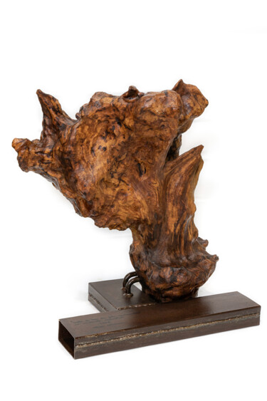 Sculpture titled "Testa di toro (da f…" by A-Design-A, Original Artwork, Wood