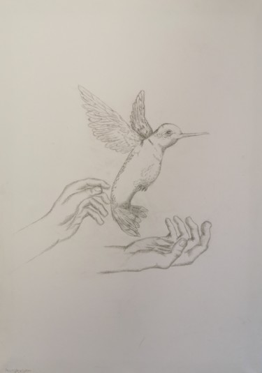 Zeichnungen mit dem Titel "Vogel" von Anastasia Dottai, Original-Kunstwerk, Bleistift
