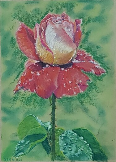 Drawing titled "Роза" by Aleksandr Khablo, Original Artwork, Pastel