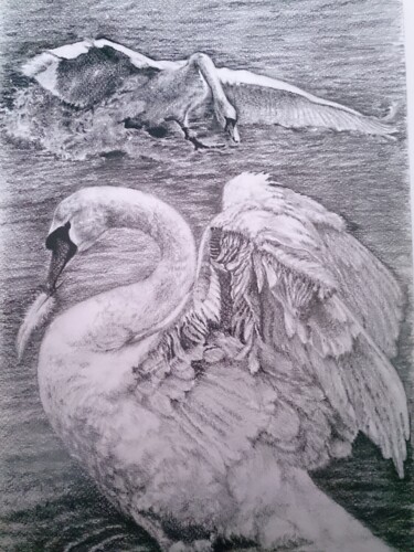 Rysunek zatytułowany „Лебеди” autorstwa Александр Хабло, Oryginalna praca, Ołówek