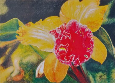 Рисунок под названием "Орхидея" - Александр Хабло, Подлинное произведение искусства, Пастель