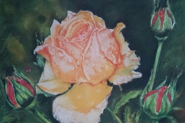 「Расцвет розы」というタイトルの描画 Александр Хаблоによって, オリジナルのアートワーク, パステル