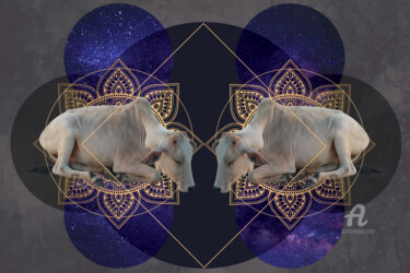 Arts numériques intitulée "Inde Cosmologique I" par Alizée Laurence, Œuvre d'art originale, Collages