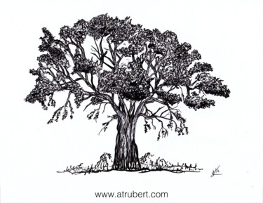 Tekening getiteld "Croquis arbre Artis…" door A.T.6 Alexandre Trubert, Origineel Kunstwerk