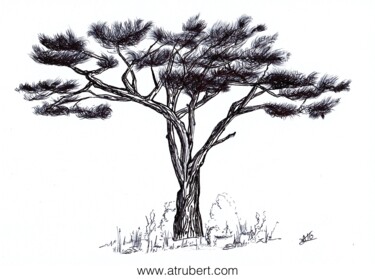 Dessin intitulée "Croquis arbre Artis…" par A.T.6 Alexandre Trubert, Œuvre d'art originale, Stylo à bille