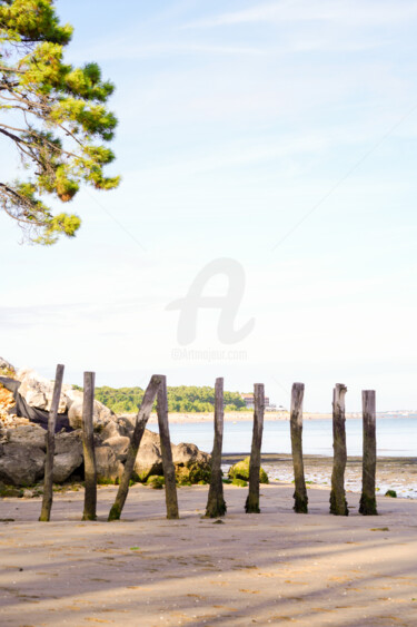 Fotografia zatytułowany „une journée ensolei…” autorstwa A.T Photographie, Oryginalna praca, Fotografia cyfrowa