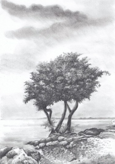 图画 标题为“Beach Tree” 由Shweta Mahajan, 原创艺术品, 木炭