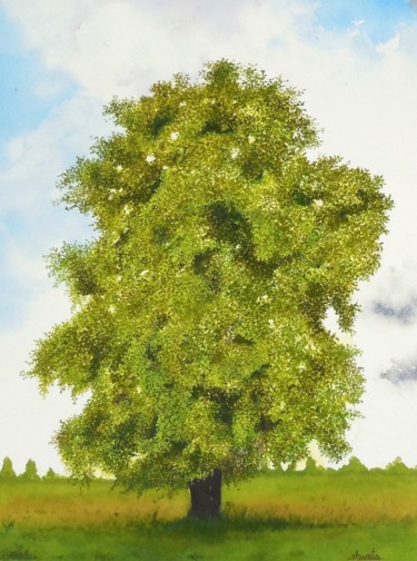 Painting titled "Oak Tree" by Shweta Mahajan, Original Artwork, Watercolor
