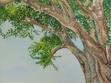 Pittura intitolato "Sacred Fig Tree" da Shweta Mahajan, Opera d'arte originale, Acquarello