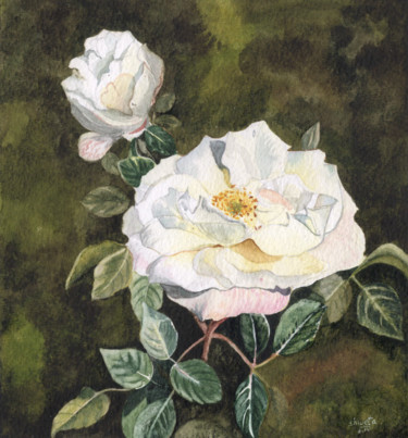 Pintura intitulada "White Rose Watercol…" por Shweta Mahajan, Obras de arte originais, Aquarela