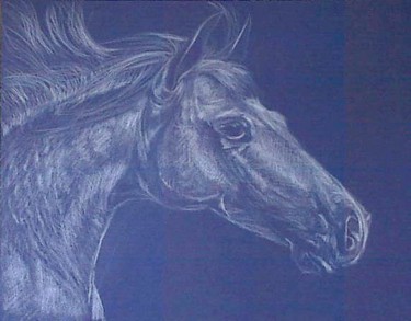 Tekening getiteld "tête de cheval" door Aantz, Origineel Kunstwerk