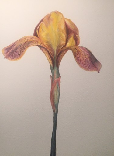 Malerei mit dem Titel "Iris" von Larry Aarons, Original-Kunstwerk, Aquarell Auf Andere starre Platte montiert