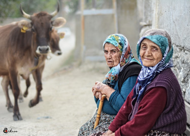 Photography titled "Cows and old women" by Askin Ayrancioglu, Original Artwork, Digital Photography
