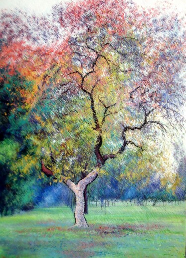 绘画 标题为“Mother Nature” 由Abid Khan, 原创艺术品, 油