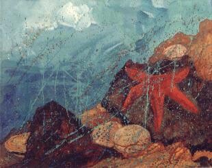 Painting titled "Estrela do Mar" by Marcelo Abuchalla, Original Artwork