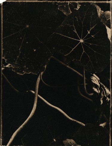 Fotografía titulada "Sombre esquisse 2" por Ariane Canta-Brejnik, Obra de arte original, Fotografía no manipulada
