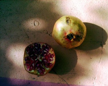 Fotografía titulada "grenades" por Ariane Canta-Brejnik, Obra de arte original