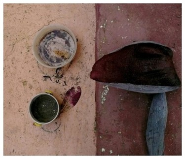 Photographie intitulée "sur le muret" par Ariane Canta-Brejnik, Œuvre d'art originale