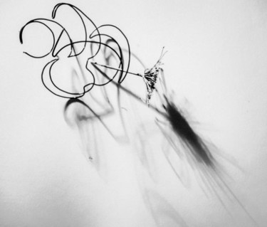 Fotografía titulada "l'ombre dessine 1" por Ariane Canta-Brejnik, Obra de arte original