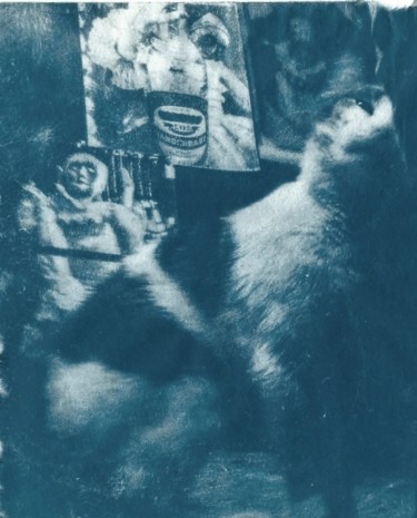 Photographie intitulée "La chatte dans l'at…" par Ariane Canta-Brejnik, Œuvre d'art originale, Photographie non manipulée