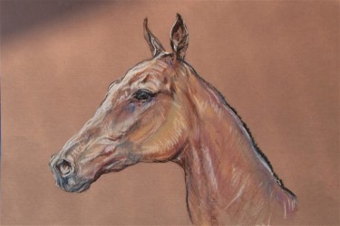 Рисунок под названием "Портрет лошади." - Acela, Подлинное произведение искусства, Пастель