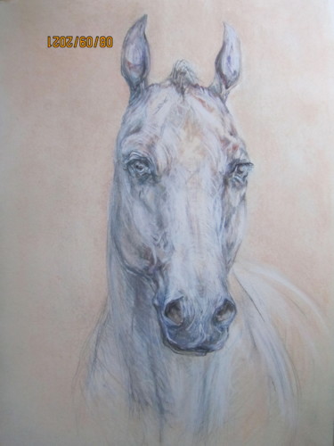 Drawing titled "Портрет лошади.5" by Acela, Original Artwork, Pastel