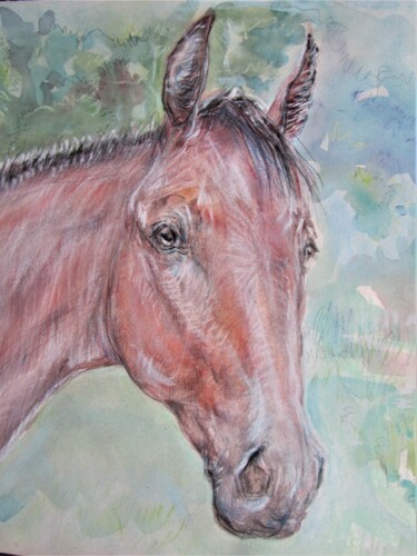 Dessin intitulée "Голова лошади.2" par Acela, Œuvre d'art originale, Pastel