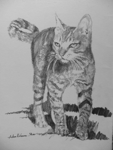 Drawing titled "Cat" by Adam, Original Artwork, Pencil