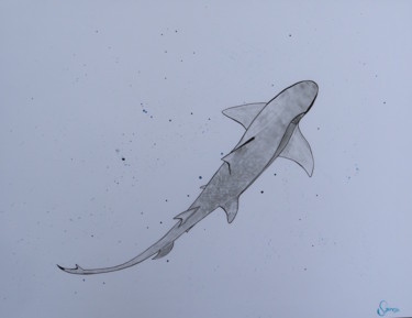 Dibujo titulada "Shark" por Adam Spinosa, Obra de arte original, Grafito