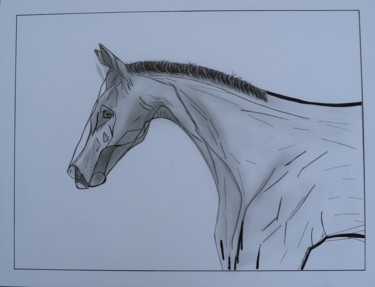 Dessin intitulée "horse" par Adam Spinosa, Œuvre d'art originale, Graphite