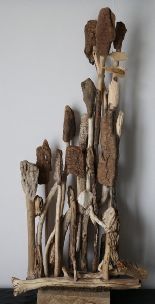 Sculpture titled "bois flotté" by Tensaye, Original Artwork, Wood