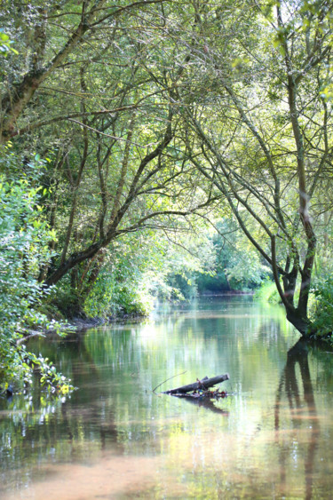 Fotografie mit dem Titel "Rêveries enchantées" von Tensaye, Original-Kunstwerk