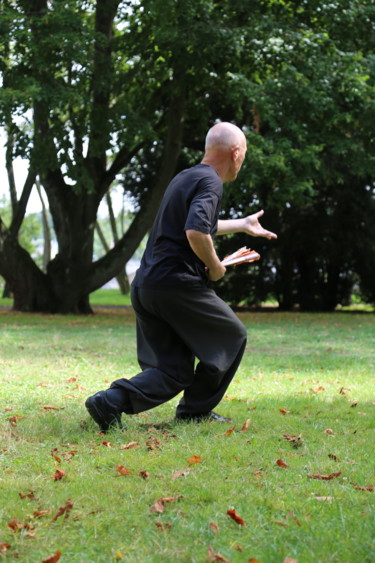 Photography titled "tai chi 3" by Tensaye, Original Artwork, Non Manipulated Photography