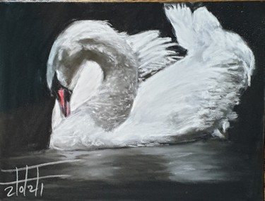 Painting titled "White Swan" by Adel Fahmi, Original Artwork, Pastel