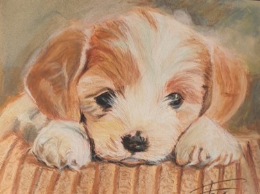 Painting titled "Cute puppy 2" by Adel Fahmi, Original Artwork, Pastel