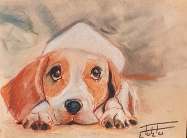 Painting titled "Cute puppy" by Adel Fahmi, Original Artwork, Pastel