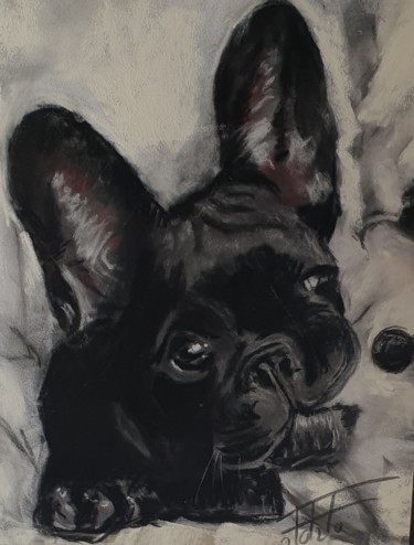 Painting titled "Black puppy" by Adel Fahmi, Original Artwork, Pastel