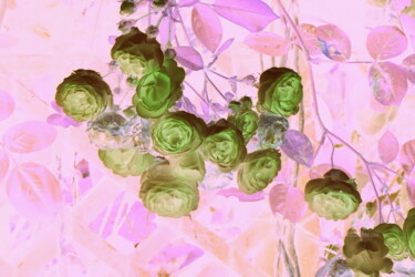 Arts numériques intitulée "Fleurs Acidulées.#a…" par Adèle Vahn, Œuvre d'art originale, Travail numérique 2D