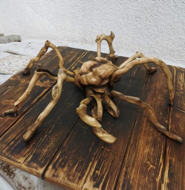 Sculptuur getiteld "Spinne" door Adler, Origineel Kunstwerk, Hout Gemonteerd op Frame voor houten brancard
