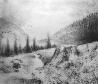 Drawing titled "à perte de vue" by Sébastien Bocquet, Original Artwork, Charcoal