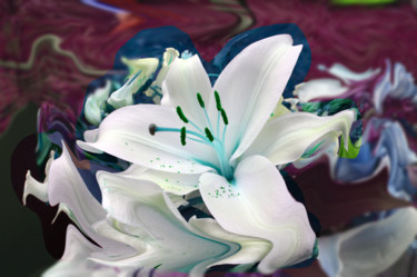 Fotografia intitolato "flower-1" da Henk Adriani, Opera d'arte originale, Fotografia digitale