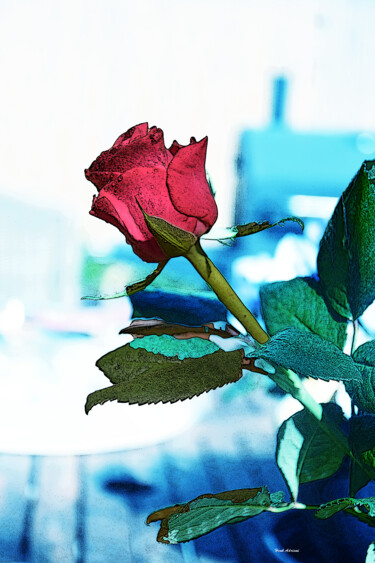 Arts numériques intitulée "Flowers # 3" par Henk Adriani, Œuvre d'art originale, Photo montage