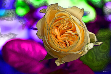 Digital Arts titled "Flowers #4" by Henk Adriani, Original Artwork, Photo Montage