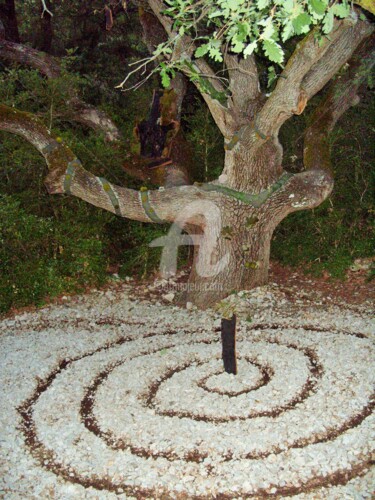 Photographie intitulée "arbre maitre" par L'Accordeur De Paysages, Œuvre d'art originale
