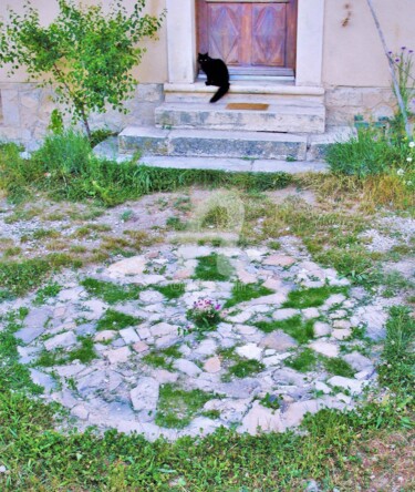 Photographie intitulée "chat et calade en d…" par L'Accordeur De Paysages, Œuvre d'art originale