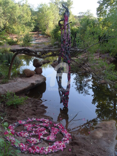 Фотография под названием "miroir des eaux pro…" - L'Accordeur De Paysages, Подлинное произведение искусства