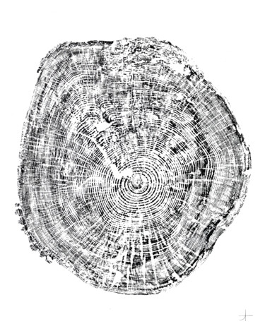 Εκτυπώσεις & Χαρακτικά με τίτλο "Peuplier. 110 ans" από Adrien Thivolle (l'âge des arbres), Αυθεντικά έργα τέχνης, Μελάνι